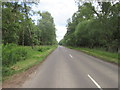 Road through Forestmuir in DD8 3TP