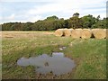 Round bales, Humbie Mains in EH36 5PH