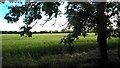 Field alongside the footpath off Peakirk Road, Glinton in PE6 7NB