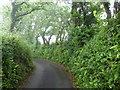 Lane between Gooseham and Gooseham Mill in EX23 9PR