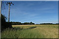 Power lines towards the Great Copse in Fringford & Heyfords Ward