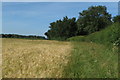 Bridleway next to The Great Copse in Fringford & Heyfords Ward