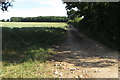 Bridleway towards Great Copse in Fringford & Heyfords Ward