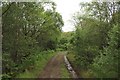 Track in Leanachan Forest in PH33 6TL