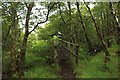 Footbridge crossing Allt Coire an Lochain in PH33 6TL