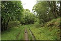 Forest track in PH33 6TL