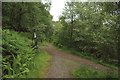 Path junction in Leanachan Forest in PH33 6SS