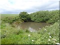 Pond beside the Cleveland Way in TS13 5JF