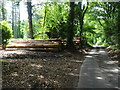 Log stacks near Whitsbury Common in SP6 3PU