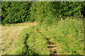 Footpath towards Wellow Golf Club in SO51 6BH