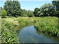 The River Ivel entering a meander, Henlow in SG18 9SJ
