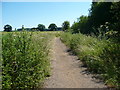 Bridleway past the fishing lakes, Langfoerd in SG18 9SJ