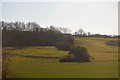 Slope near Ansford Park Farm in BA7 7JJ
