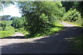 Track junction, Graig Fawr Forest in NP13 2EN