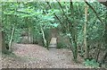 Footbridge in Coneyburrow Wood in TN21 9QH
