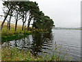 Bayfield Loch from the dam in IV19 1QR