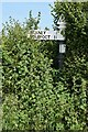 SCC Fingerpost near Pickney in TA2 6PL
