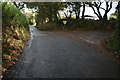 Road junction in the woods in TR9 6JE