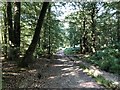 Track at Broadstone Warren in RH18 5LN