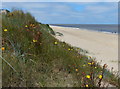 Dunes and beach at Caister-on-Sea in NR30 5HG