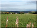 View towards Milton of Cullerlie in AB31 5HQ