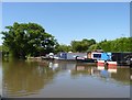 Boats in Alvechurch Marina, from the canal in B48 7SE