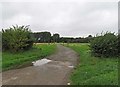 Driveway to Park Farm in LE12 5TG