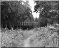 Hermitage Woods Footbridge, Basingstoke Canal in GU21 8TW