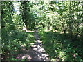 The Hillingdon Trail passing through Ten Acre Wood in UB4 8NW