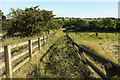 Footpath near Alder Carr House Farm in HG3 1PJ