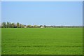 Flat fenland farmland in CB6 3FT