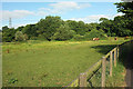 Meadow by Lower Road in SP2 9AR