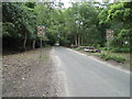 Road through the New Forest, Hale Purlieu in SP6 2RA