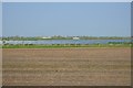Chittering Solar Farm and fenland farmland in CB6 3LG