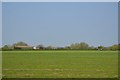 Field, Tiled House Farm in CB6 3LJ