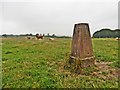 Trig Point near Woodburn Cross in EX16 9FJ