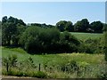 Fields and trees by the A6 in Chorley South East & Heath Charnock Ward