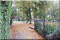 Autumn Leaves, Miners Welfare Park, Bedworth in CV12 8LE