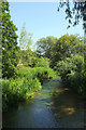 River Nadder at Burcombe in SP2 0EW