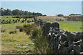 A dry stone wall as the field boundary in PR3 1UQ