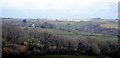 View over the East Looe Valley in PL14 4SG