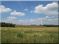 Wind turbines north of Bilsthorpe in NG22 8ST