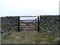 Gate in drystone wall topped with a trap in Fountains Earth