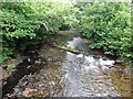 River Barle at Brushford in TA22 9BN