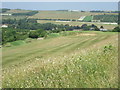 View towards Thurle Grange from the golf course in RG8 9LG