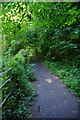 Footpath in Stevens Park, Wollescote, Stourbridge in DY9 9BZ
