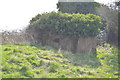 Pillbox by Royal Military Canal in TN25 7FY