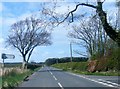 Lane junction, north of Dunstan in Craster