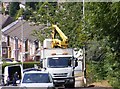 Street Light Repairs in DY1 2NE