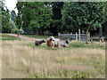 Wooden cattle, Worth Park, Crawley in RH10 3SN